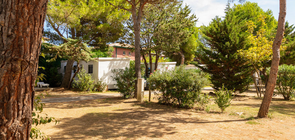 ma prairie - canet en roussillon