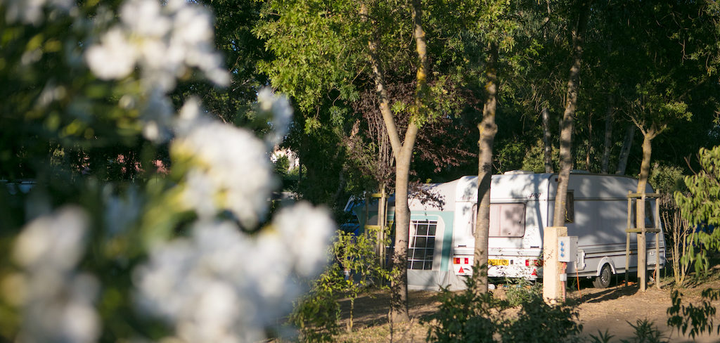 Emplacement Camping Ma Prairie - canet en roussillon